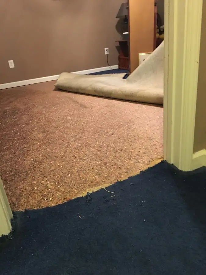 Carpet pad removal revealing water damage during Drying & Dehumidification in Atlantic